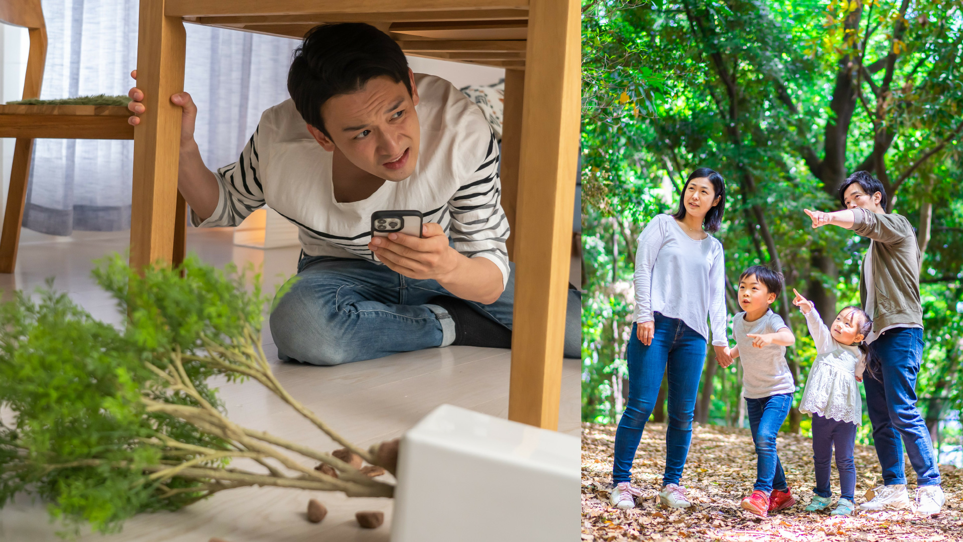 ファーネスピット商品コンセプト